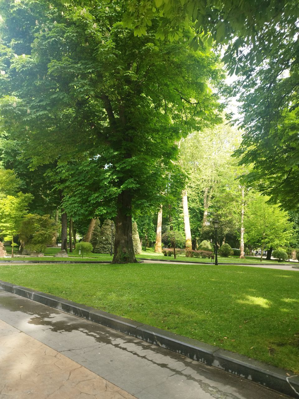 Inventario de arbolado